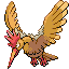 Fearow