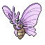 Venomoth